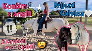 PŘECHÁZÍM NA WESTERN! // Zkoušení sedel + seznámení Calvina s Bertem