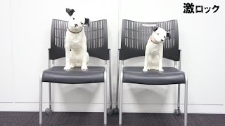 ヒステリックパニック、メンバーではなくビクターのシンボル犬“ニッパー”が登場！ 3年半ぶりのニュー・アルバム『サバイバル・ゲーム』リリース！―激ロック 動画メッセージ