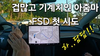 겁많고 엄청 기계치인 아줌마의 자율주행 첫 시도 / 테슬라 자율주행, Tesla FSD v12.3.6 (미국)