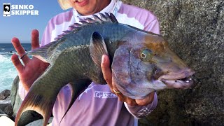 A STRANGE way to eat a BIZARRE looking fish. Catch and EAT