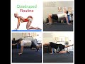 quadruped routine