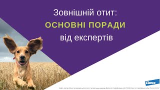 Вебінар. Зовнішній отит: основні поради від експертів