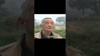 佛塔下驚現百年棺木，鐵鏈懸棺掛半空，專家：大罪之人這樣下葬？ #胡八一探秘古墓 #古墓 #古墓挖掘 #歷史謎團 #兵馬俑的奧秘