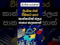 එයාට වෙන දේ හිතාගන්නවත් බෑ 🥰🙄. psychology education shorts