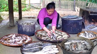 How to Harvest Giant Fish and Salt Fish for preservation | LTC - Free Bushcraft