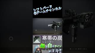 【 今週のDestiny 2 】 今週のシュール＆シェーダー「寒帯の炭」 緑と白のラインがヨキ!!  #shorts