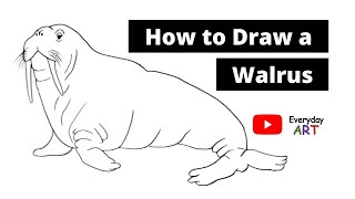 Art 013 - How to Draw a Walrus - Easy Tutorial and Simple Drawing 2021