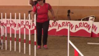 Biathlon Agility Slice 2017