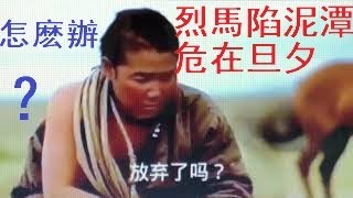 馬頭琴名曲，在蒙古大草原上，陷在泥潭裏的烈馬不能自拔情況非常危急，怎麽辦？三兄弟居然用這個辦法救出了馬！情節感人，催人淚下，耐人尋味，茅塞頓開...... Xiao Feng News World