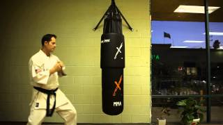 MaxxMMA Water/Air Heavy Bag Review