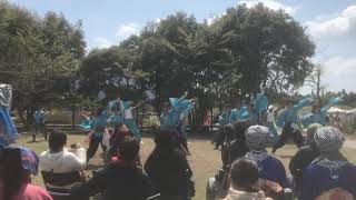 山口大学よさこいやっさん‼︎ 川棚菜の花よさこい2018 チューリップ会場 よすが