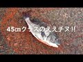 fishingma二色の浜10 25リアル