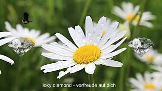 Loky Diamond - Vorfreude auf dich (prod. by L💎)