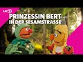 Der Froschkönig mit Ernie und Bert  - Sesamstraße