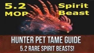 World of Warcraft: New Spirit Beast Taming tutorial | Patch 5.2 Gumi