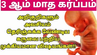 Third month pregnancy symptoms in Tamil||மூன்றாம் மாத கர்ப்ப அறிகுறிகள்