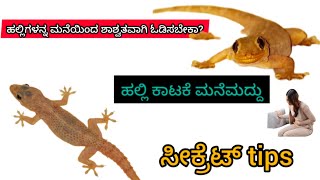 🦎ಹಲ್ಲಿಗಳನ್ನು 💡ಮನೆಯಿಂದ ಶಾಶ್ವತವಾಗಿ ಓಡಿಸಬೇಕ, ಇಲ್ಲಿದೆ ನಿಮಗೆ ಹಲ್ಲಿ ಕಾರಕ್ಕೆ ಮನೆ ಮದ್ದು ಹಾಗೆ ಸೀಕ್ರೆಟ್ ಟಿಪ್ಸ್