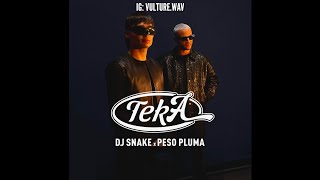 DJ Snake & Peso Pluma - Teka [VULTÜRE Extended Mix]