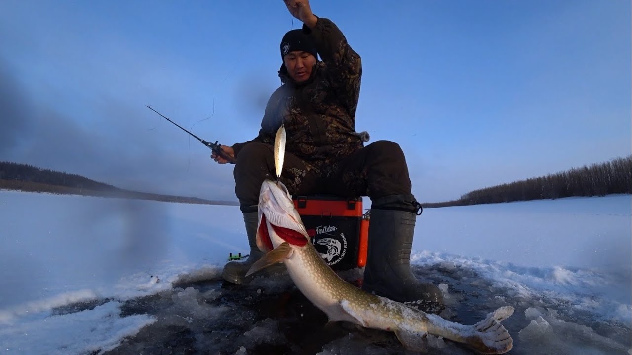 Рыбалка в якутии зимой 2020 новое. Клевая рыбалка в Якутии 2020. Якутия рыбалка 2020 видео. Якутия клевая рыбалка 2020 зима. Рыбалка Якутия клевая рыбалка 2019.