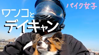 【ソロキャンプ】PCXで行く！女子バイクツーリング 笠置キャンプ場でデイキャンプ バイク女子/犬連れ/ 4K