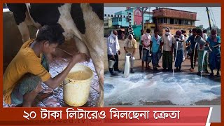 লকডাউনে বিপাকে চট্টগ্রামের দুগ্ধ খামারিরা 6Jul.21| Dairy Farm