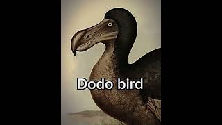 5 Extinct Animals That Might Come Back