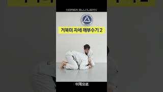 거북이자세 깨부수기 2 [Turtle position turn over 2] #jiujitsu #judo #bjj