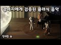 #멍마들  강아지가 가장 좋아하는 음악! 검증된 클래식 음악 - Dog's favorite music