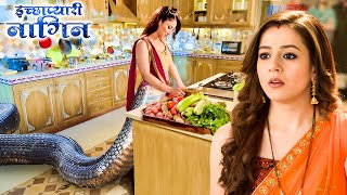 क्या इच्छाधारी नागिन ने खाने में मिलाया है जहर | Icchapyaari Naagin | New Naagin Series 2025