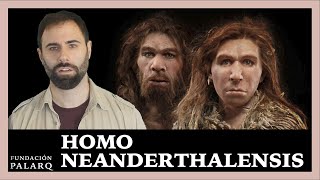 🔹 HOMO NEANDERTHALENSIS | Las principales especies de homininos y etapas de la prehistoria