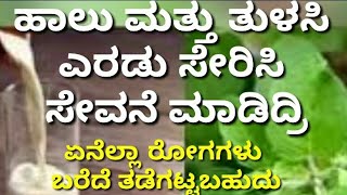 ತುಳಸಿ ಮತ್ತು ಹಾಲು !!ಎರಡು ಸೇರಿಸಿ ಸೇವನೆ ಮಾಡುವುದರಿಂದ !!ಯಾವ ರೋಗಗಳನ್ನು !!ಬರದಂತೆ ತಡೆಗಟ್ಟಬಹುದು ನೋಡಿ