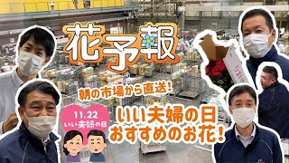 花予報2023年【いい夫婦の日】11/20∼11/26　大田市場からお届け！いい夫婦の日のお花！！