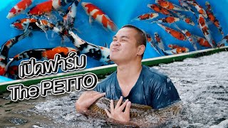 พาชมปลาในฟาร์ม พร้อมกิจกรรมโชว่า สุดพิเศษ!!! | The PETTO EP.153