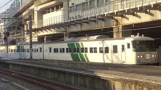 185系電車の臨時列車（クラブツーリズムのツアー。団体の表示幕）高崎駅に到着。定期運用から引退した人気車両（群馬県）JR EAST Takasaki Station Gunma JAPAN TRAIN