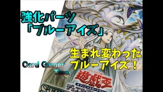 青き眼の光臨で青眼が強化！強力なカードが盛りだくさん！