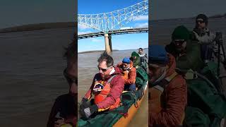 Canoeing the Mississippi in Memphis #msr2023 #mississippiriver #canoeing #guinnessworldrecords