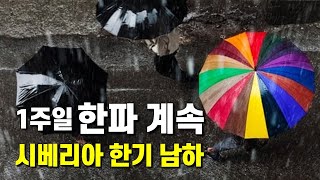 시베리아에서 동장군이 내려와 한파는 1주일 정도 계속됩니다