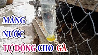 chế máng nước cho gà