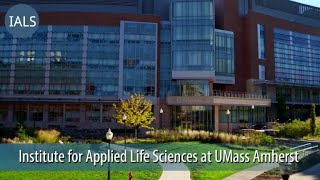Institute for Applied Life Sciences at UMass Amherst