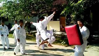 Karate:Practicing Tobi Mawashi Geri  (Free Style)