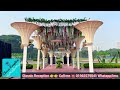 simple and royal wedding decoration ideas 2024 বিয়ে মঞ্চ সাজানো 2024 wedding decoration