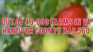 Hanover AG Presentation