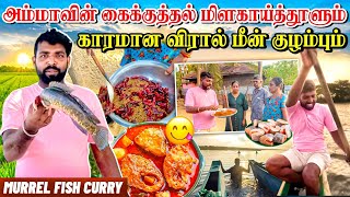 காரமான ஆந்திராவை மிஞ்சும் அம்மாவின் விரால்மீன் குழம்பு | Snakehead Murrel Fish | Linga￼ village view