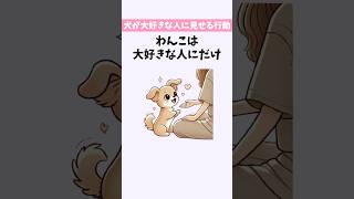 犬が大好きな人にだけ見せる行動【わんこ雑学】#いぬのきもち #雑学 #豆知識