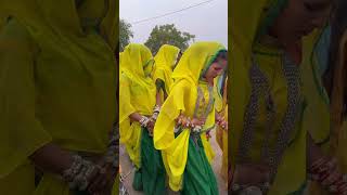 धर्मराय शादी वीडियो Aaj dharmray shadi adivasi Dance Video 2024 | आदिवासी डांस वीडियो 2024 |