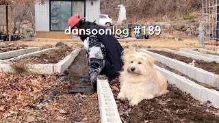 Korean winter countryside life vlog 189) Starting a garden life with a dog