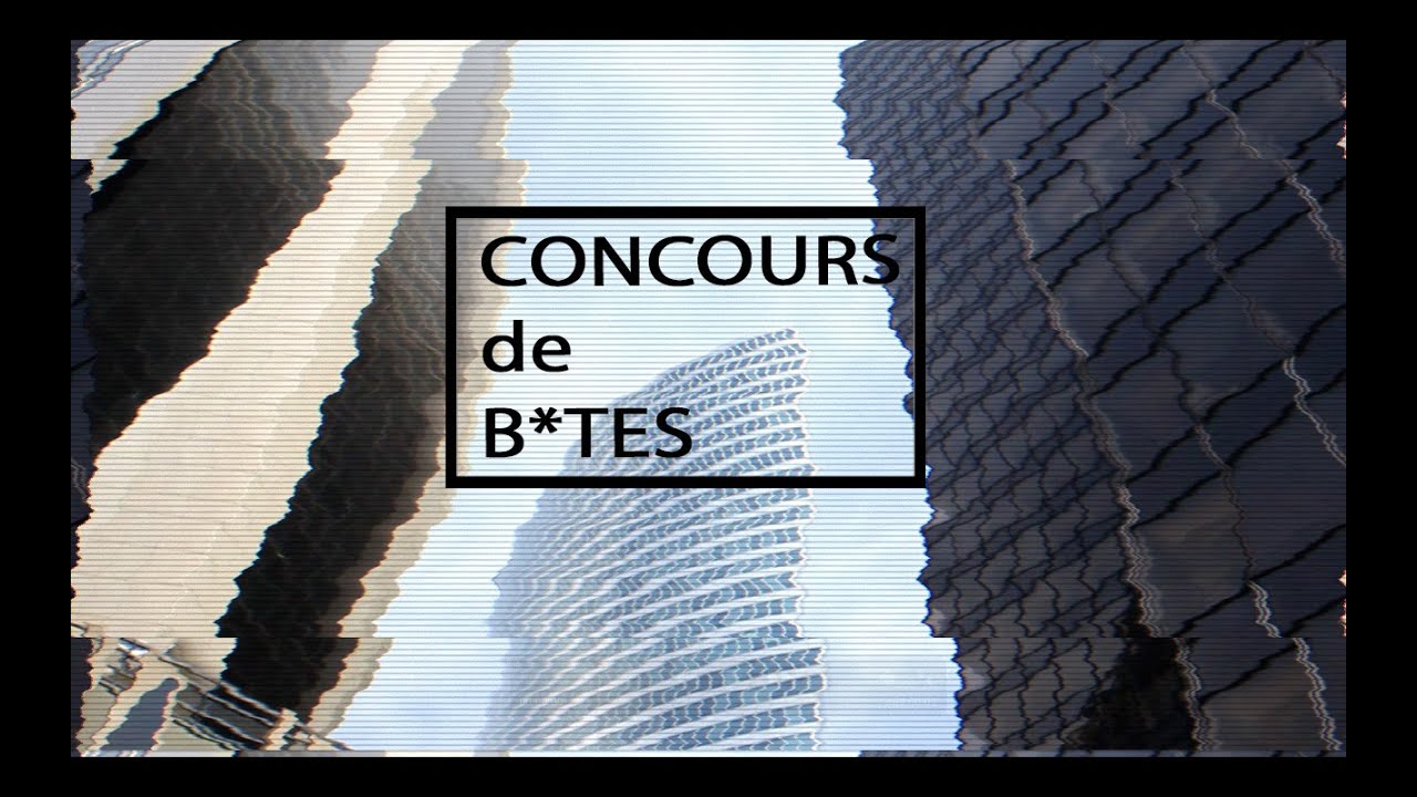 CONCOURS De B*TES - YouTube