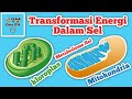 Transformasi Energi dan Metabolisme di dalam Sel - Energi dalam Sistem Kehidupan