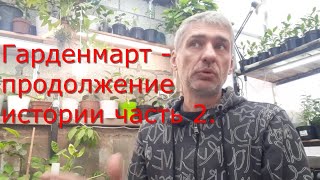 Гарденмарт- продолжение истории часть 2, обзор теплицы, прививок. Инжир и виноград после укрытия.