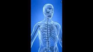 மனித எலும்பு மண்டலம் (Skeletal System) | தமிழ் பண்பாடு #29